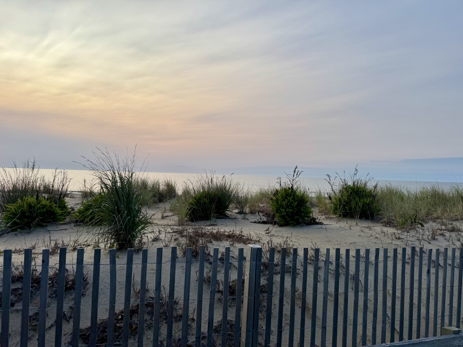 Soft pastel sunrise over the dunes and ocean